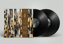 Load image into Gallery viewer, Guy Buttery – Songs From The Cane Fields (20th Anniversary Edition) (2LP VINYL)