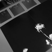 Load image into Gallery viewer, NO MORE CAN BE DONE by P+A+G+E+S (180g VINYL LP)