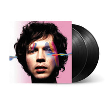 Load image into Gallery viewer, Beck - Sea Change (2LP Vinyl)