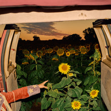 Load image into Gallery viewer, Kevin Morby - Little Wide Open (2LP eco mix VINYL) preorder