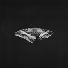 Load image into Gallery viewer, KENDRICK LAMAR - TO PIMP A BUTTERFLY 180G VINYL (10 YEAR AN ED) 2LP 180g