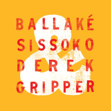 Load image into Gallery viewer, Ballaké Sissoko & Derek Gripper (VINYL LP)