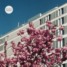 Load image into Gallery viewer, THOR RIXON - profit / loss