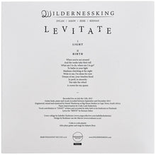 Load image into Gallery viewer, Levitate by Wildernessking (7" Vinyl)
