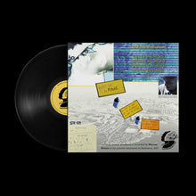 Load image into Gallery viewer, Nourished by Time : Erotic Probiotic 2 (Vinyl LP)
