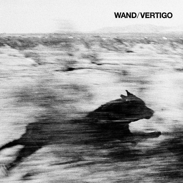 WAND Vertigo (Vinyl LP)