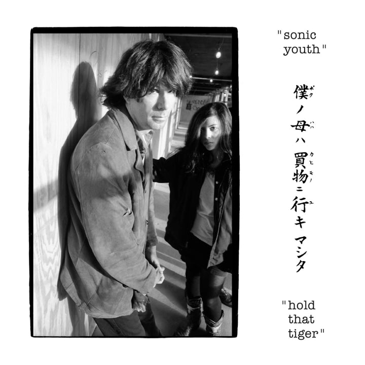 Sonic Youth - Hold That Tiger (VINYL 2LP)