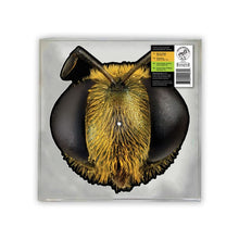 Load image into Gallery viewer, King Gizzard &amp; The Lizard Wizard ‎– Big Fig Wasp ('26 Picture Disc RSD)
