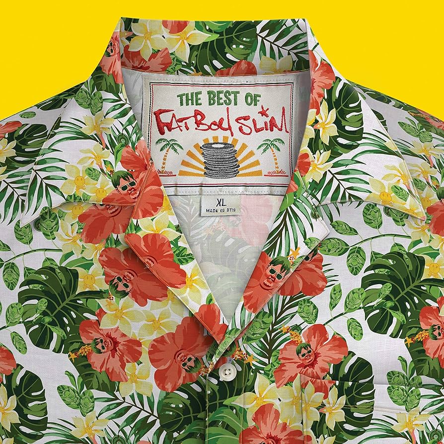 FATBOY SLIM - THE BEST OF (2LP Vinyl)
