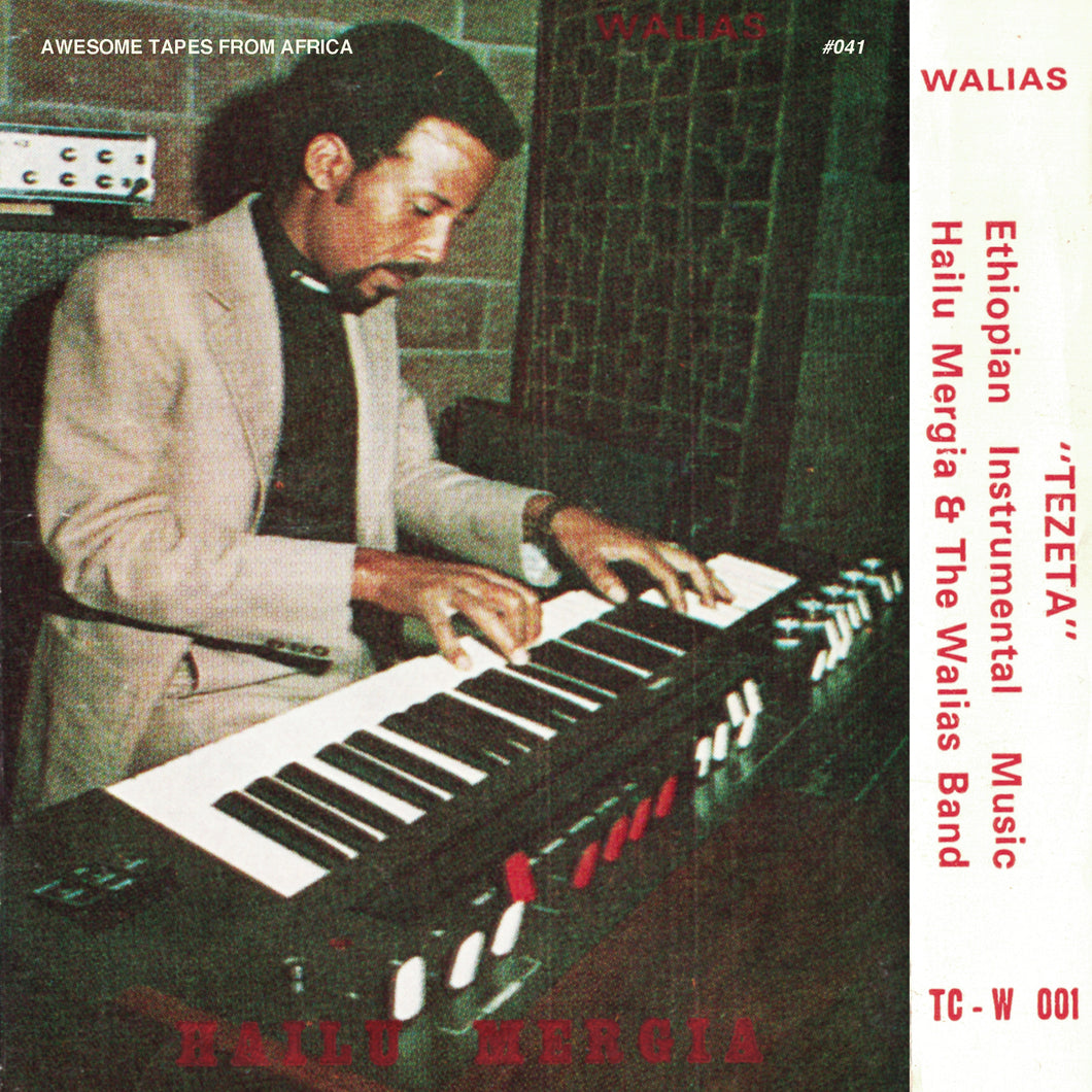 Hailu Mergia & The Walias - Tezeta (VINYL LP)