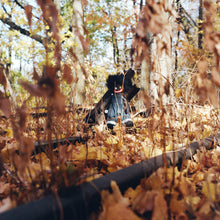 Load image into Gallery viewer, billy woods 'GOLLIWOG'
