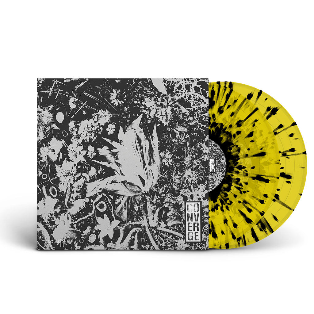 Converge 