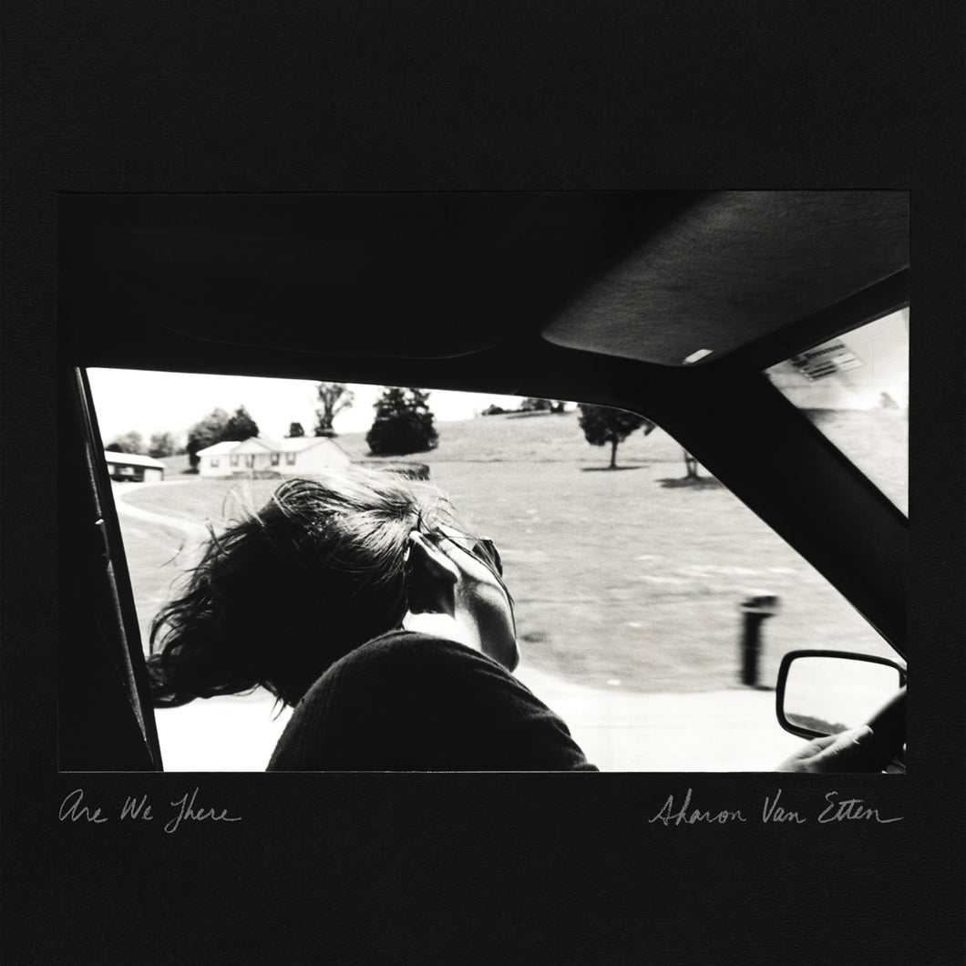 Sharon Van Etten - Are We There (VINYL LP) (10 Year Anniversary Edition)