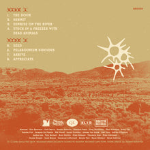 Load image into Gallery viewer, Kayla The Crow - SEED (LP eco VINYL) preorder
