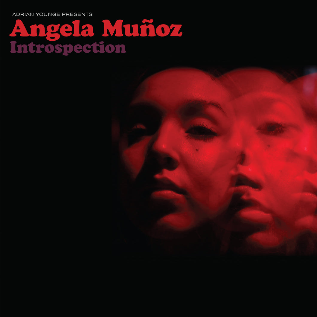 Adrian Younge Presents: Angela Muñoz (VINYL LP)