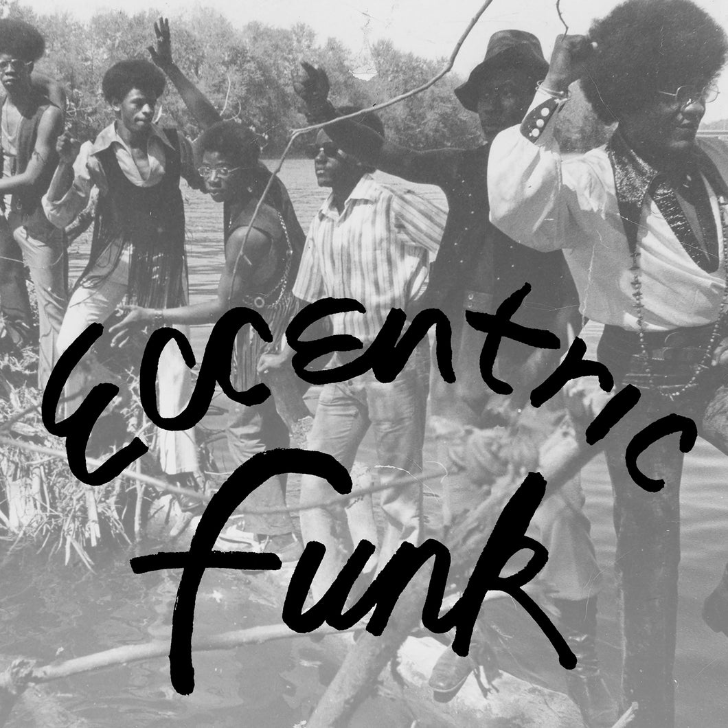 Eccentric FUNK - VA (Vinyl LP)