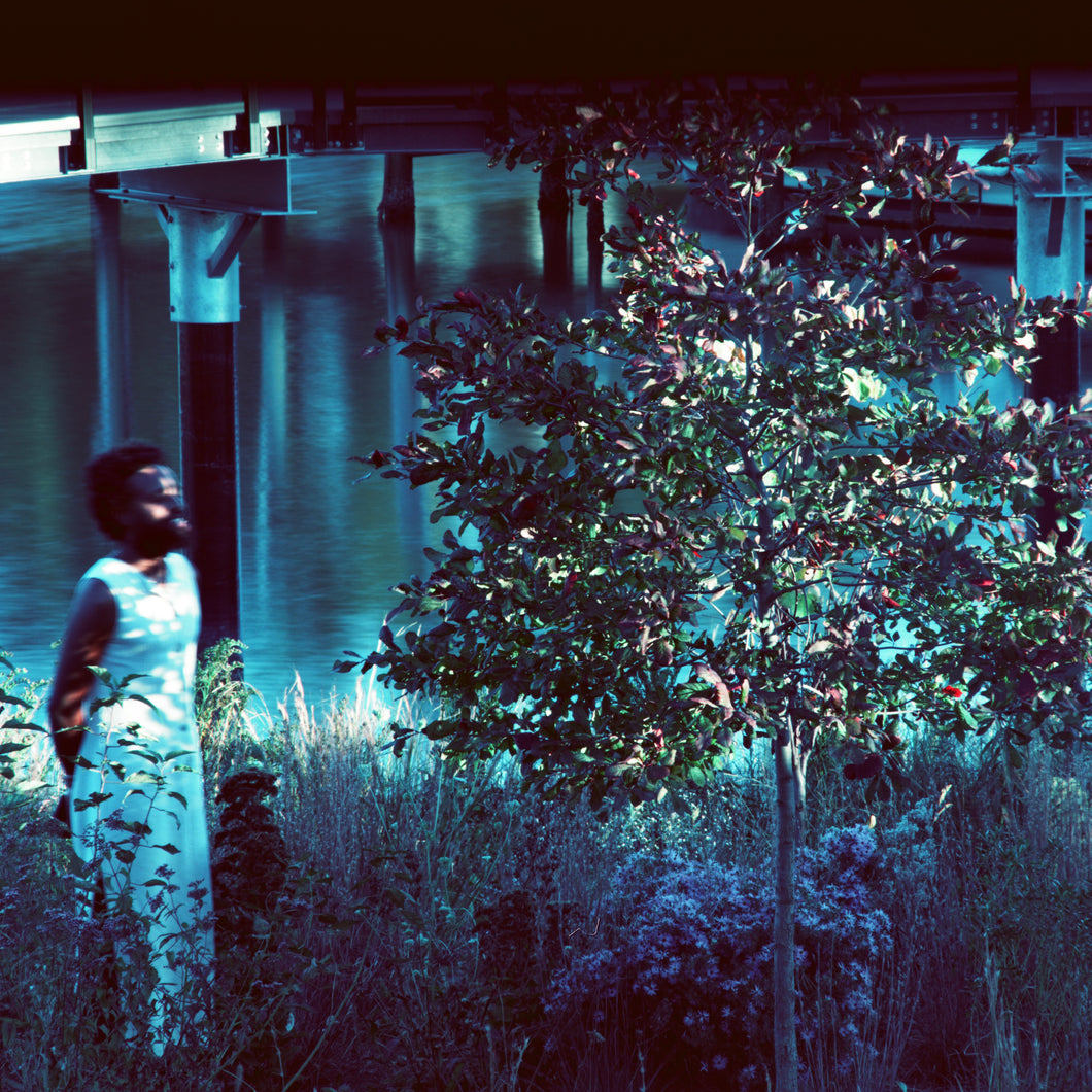 JJJJJerome Ellis 'Vesper Sparrow' (LP VINYL)