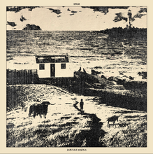 Load image into Gallery viewer, JABULILE MAJOLA - IPASI (Vinyl)
