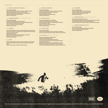 Load image into Gallery viewer, JABULILE MAJOLA - IPASI (Vinyl)
