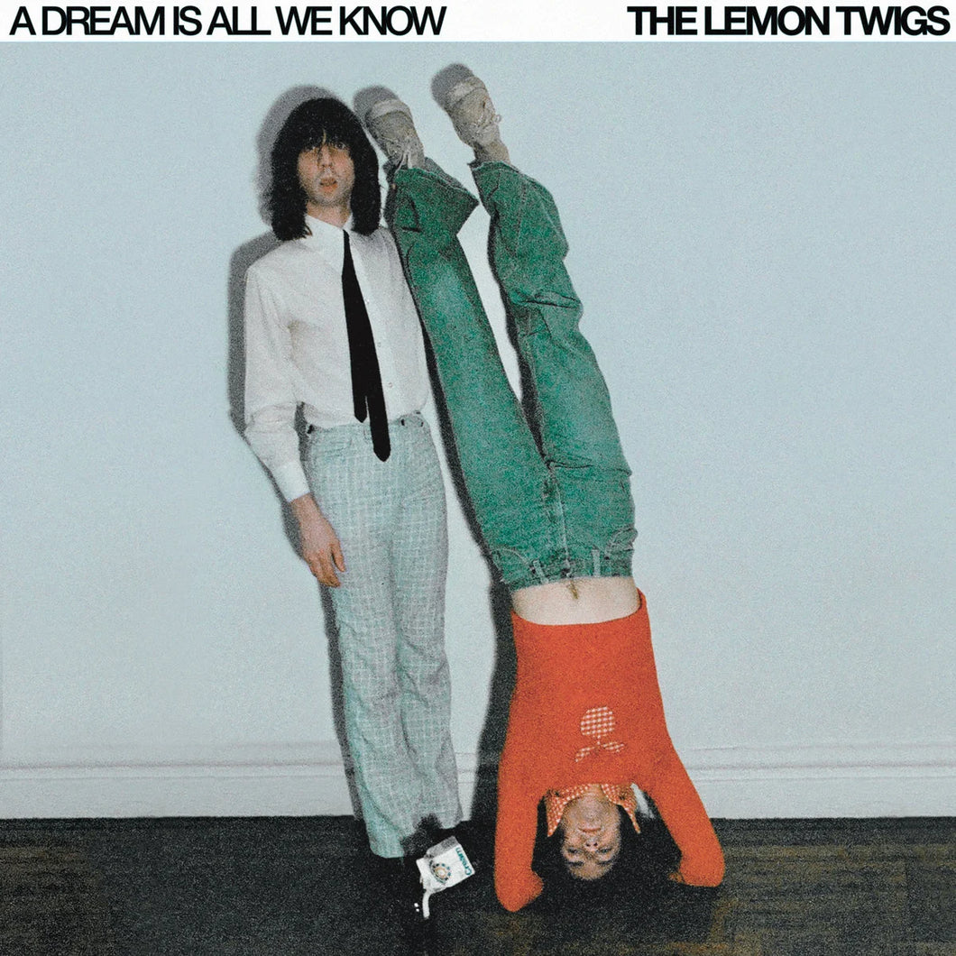 The Lemon Twigs - A Dream Is All We Know (Vinyl LP)