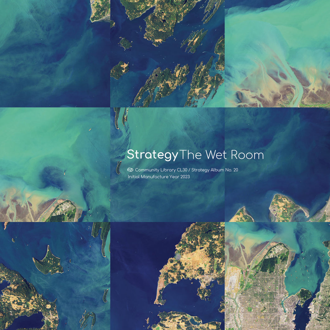 STRATEGY - The Wet Room (VINYL LP)