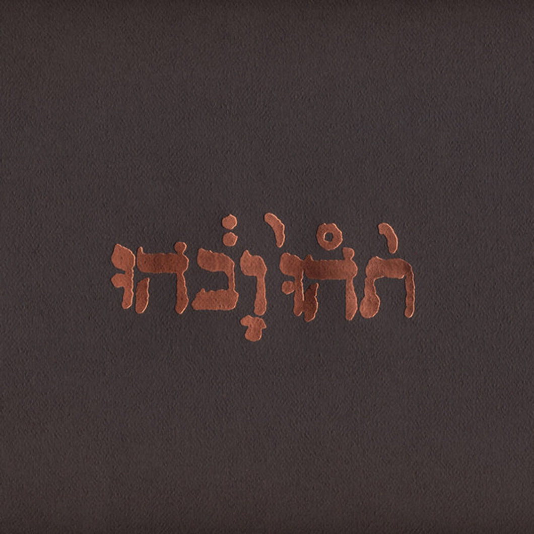Godspeed You! Black Emperor - Slow Riot For New Zero Kanada (VINYL LP)