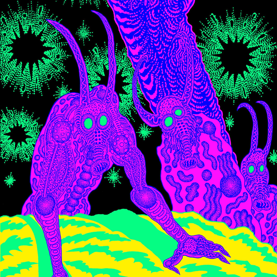 Osees - ABOMINATION REVEALED AT LAST (Colour Vinyl LP)
