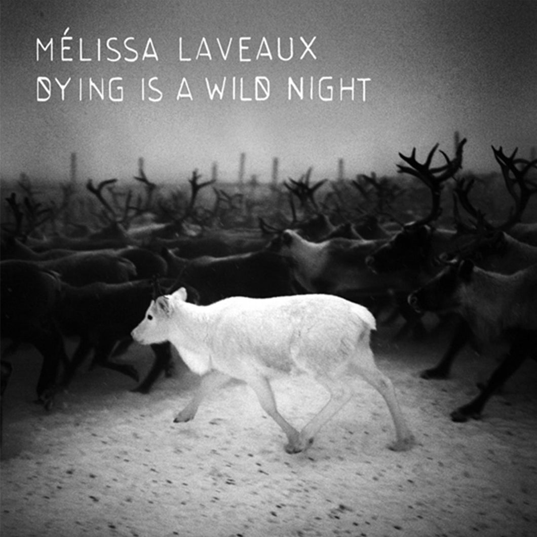 Dying Is A Wild Night by Mélissa Laveaux (VINYL LP)