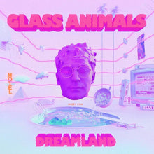 Load image into Gallery viewer, Glass Animals - Dreamland (Glow in The Dark VINYL LP) nm
