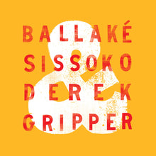 Load image into Gallery viewer, Ballaké Sissoko &amp; Derek Gripper (VINYL LP)
