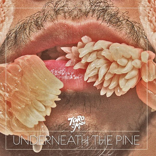 Toro y Moi - Underneath The Pine(Vinyl LP)