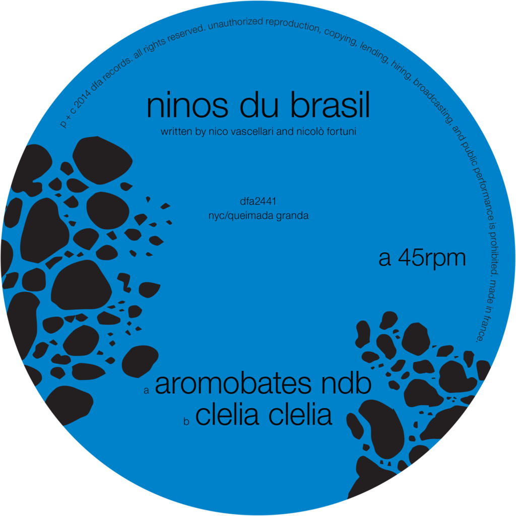 Ninos Du Brasil - Aromobates NDB (12