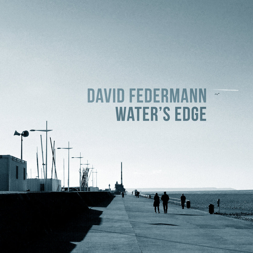 DAVID FEDERMANN - WATER'S EDGE (LP)