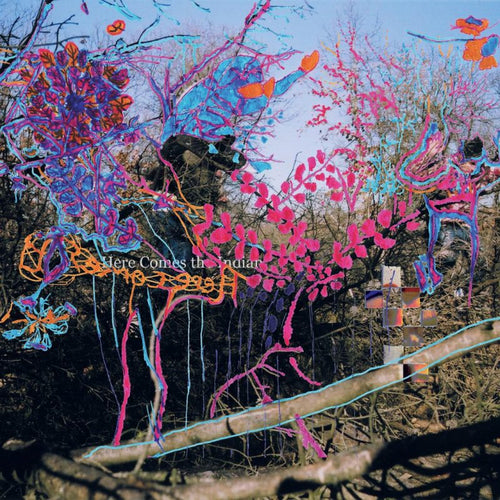 ANIMAL COLLECTIVE - Here Comes The Indian (LP)